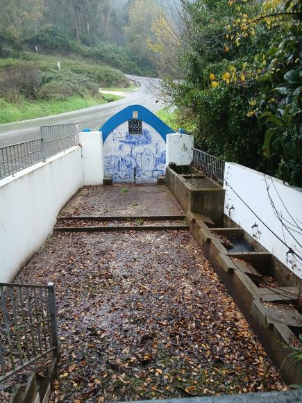 Pedido de colabora&ccedil;&atilde;o/voluntariado