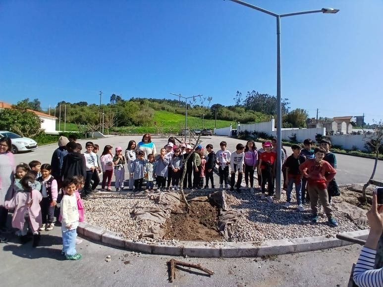 Dia Mundial da &Aacute;rvore no Carvalhal Benfeito